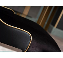 Обеденный стул для гостиной Карлино (Carlino) CARL-16A-01