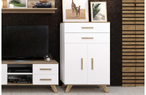 Шкаф низкий Вега Скандинавия (глянец, белый + дуб каньон)