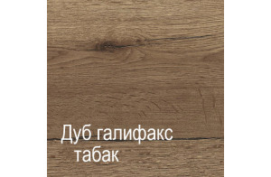 Двухстворчатый шкаф-купе для одежды Г-13 (ДГТ) Гарда с зеркалом